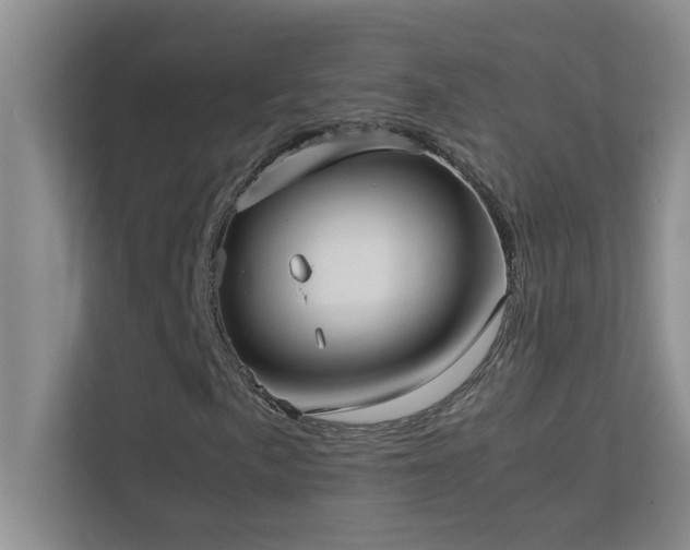 X0000113911057200909241505