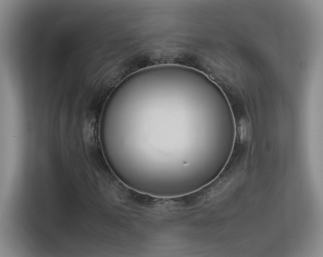 X0000113911059200909241505