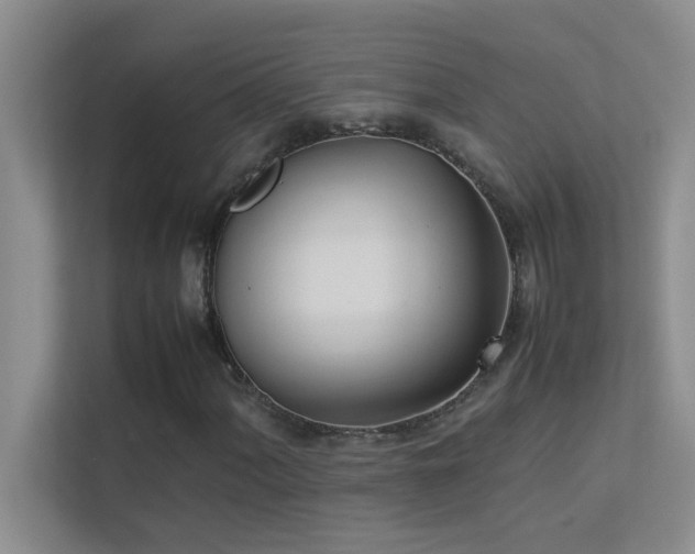 X0000113911060200909241505