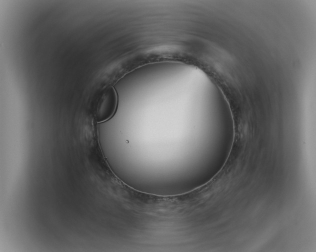 X0000113911062200909241505