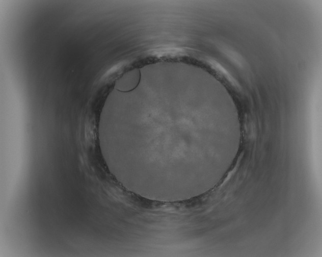 X0000113911063200909241505
