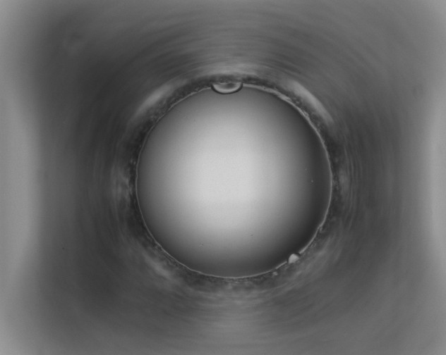 X0000113911064200909241505