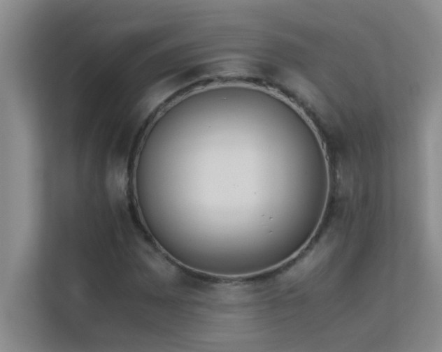 X0000113911065200909241505