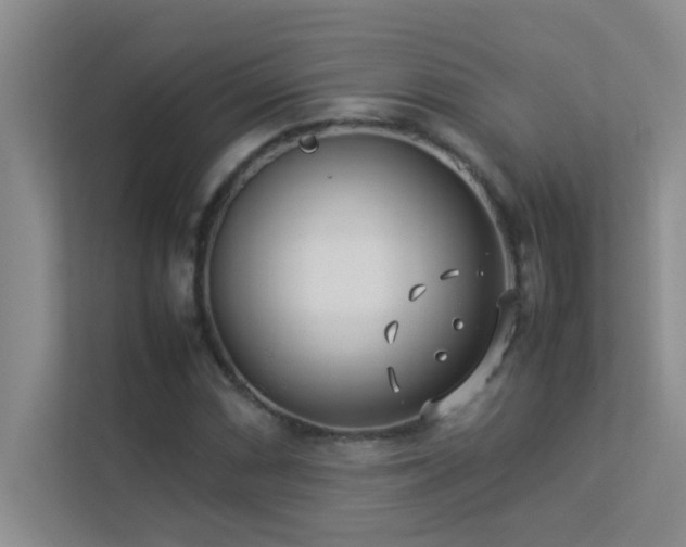 X0000113911066200909241505