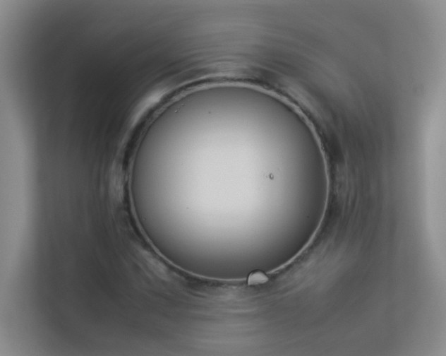 X0000113911067200909241505