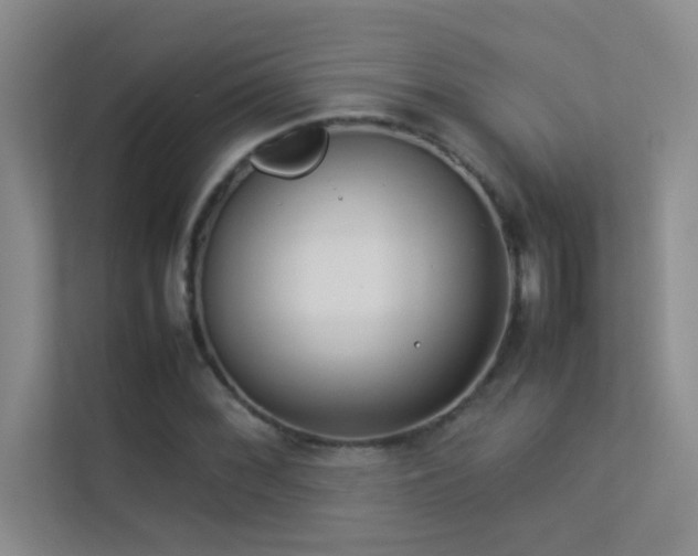 X0000113911068200909241505