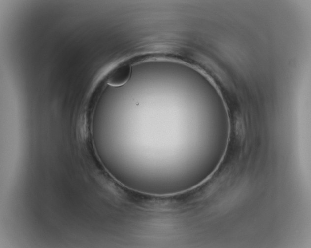 X0000113911069200909241505