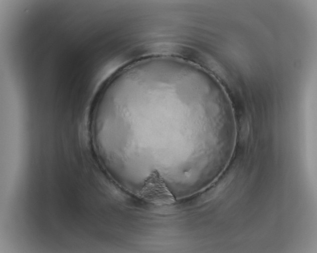 X0000113911071200909241505
