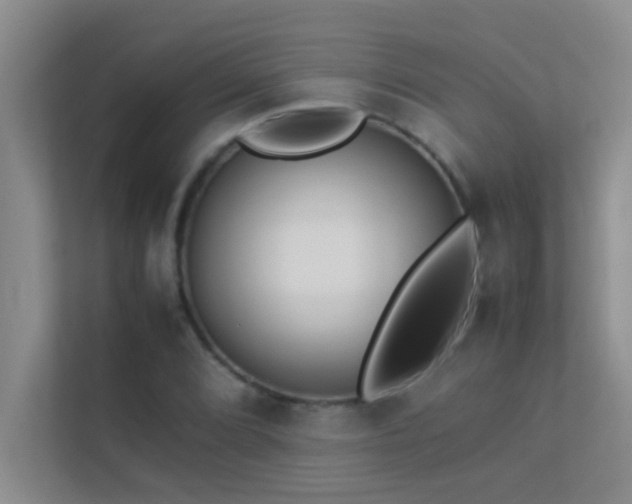 X0000113911072200909241505
