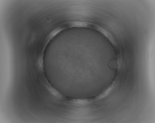 X0000113911074200909241505