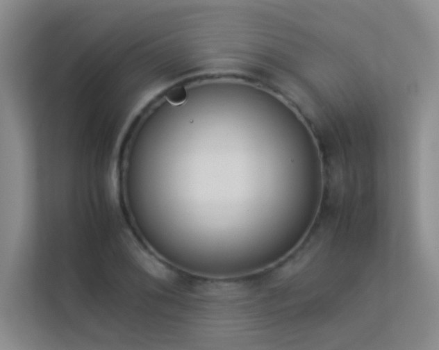 X0000113911076200909241505