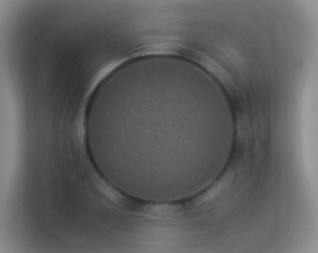X0000113911077200909241505