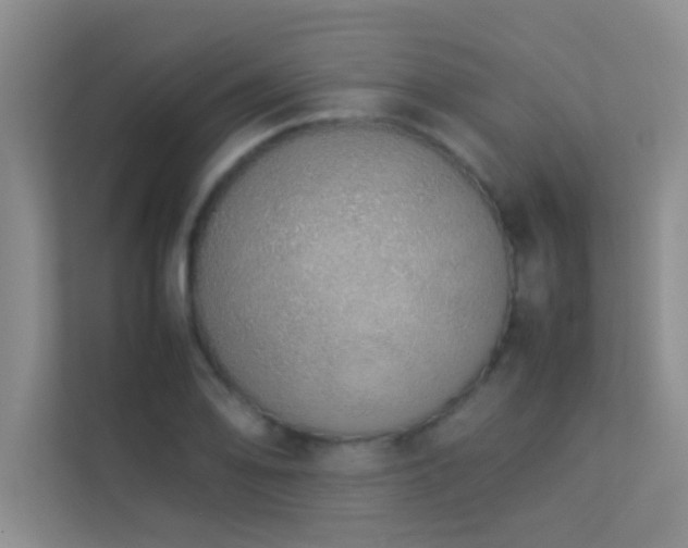 X0000113911078200909241505