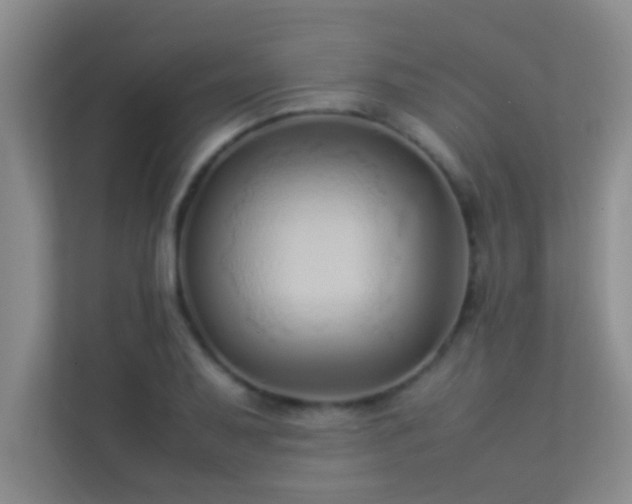 X0000113911079200909241505
