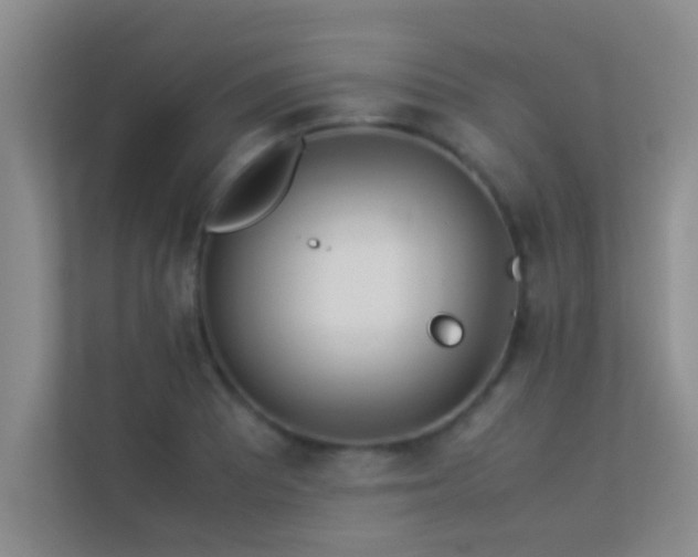 X0000113911081200909241505