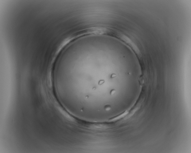 X0000113911083200909241505