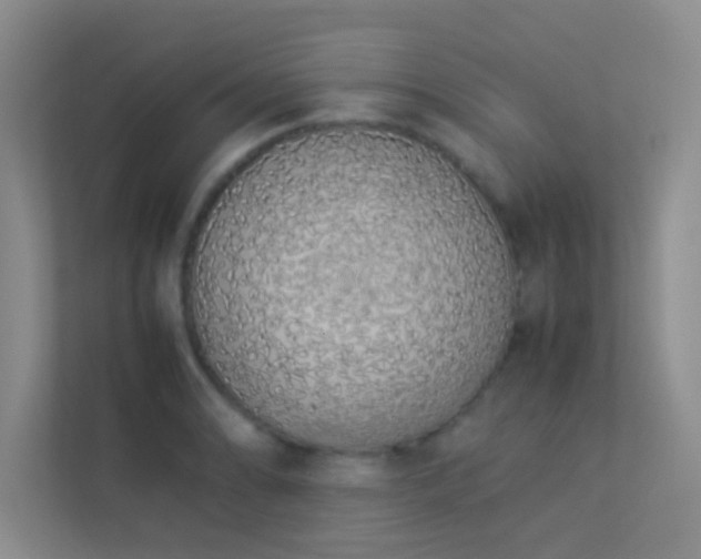 X0000113911086200909241505