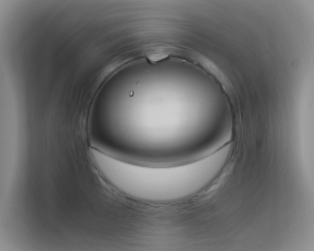 X0000113911089200909241505