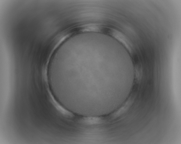 X0000113911090200909241504