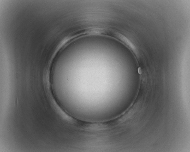 X0000113911091200909241504
