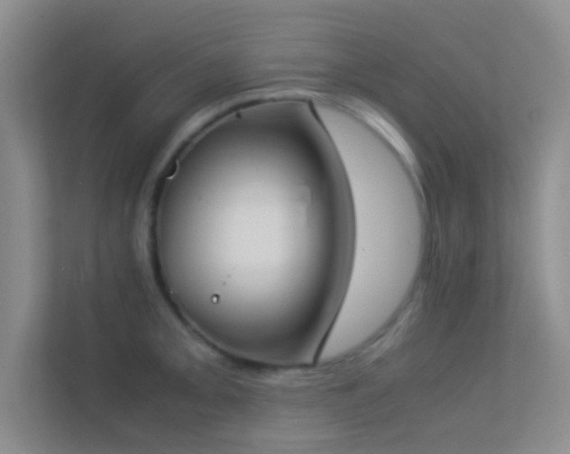 X0000113911093200909241504