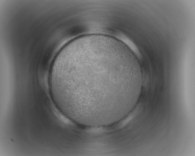 X0000113911094200909241504
