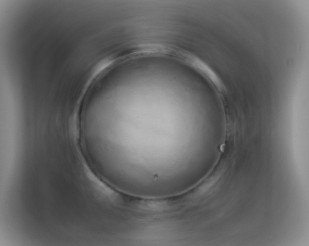 X0000113911095200909241504
