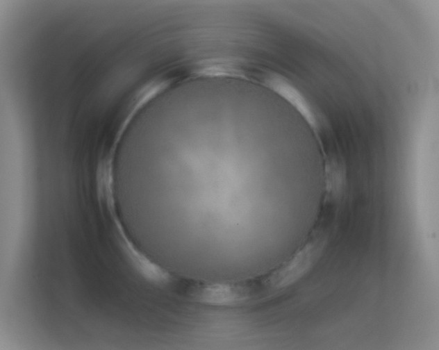 X0000113911098200909241504