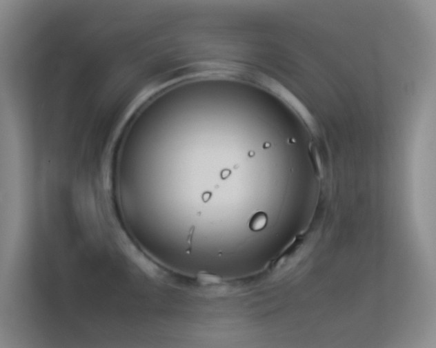 X0000113911099200909241504