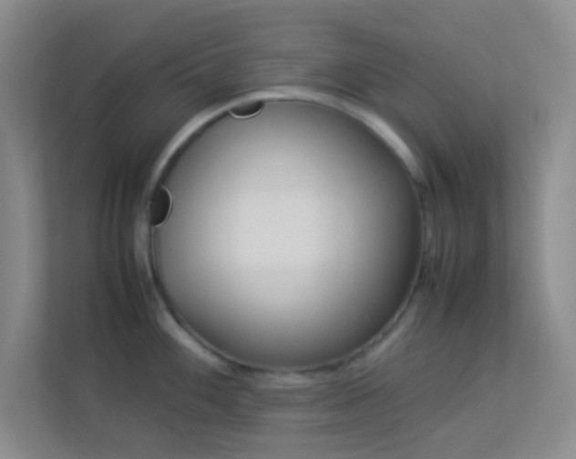 X0000113911100200909241504