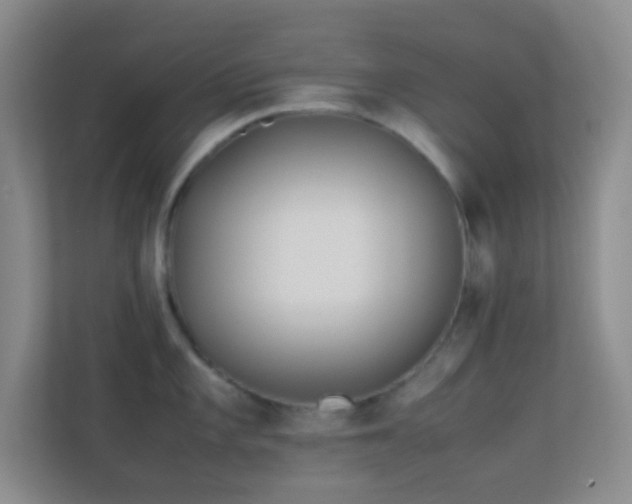 X0000113911101200909241504