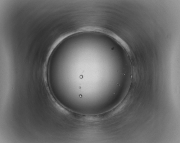 X0000113911102200909241504