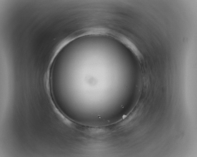 X0000113911103200909241504
