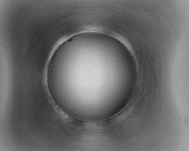 X0000113911104200909241504