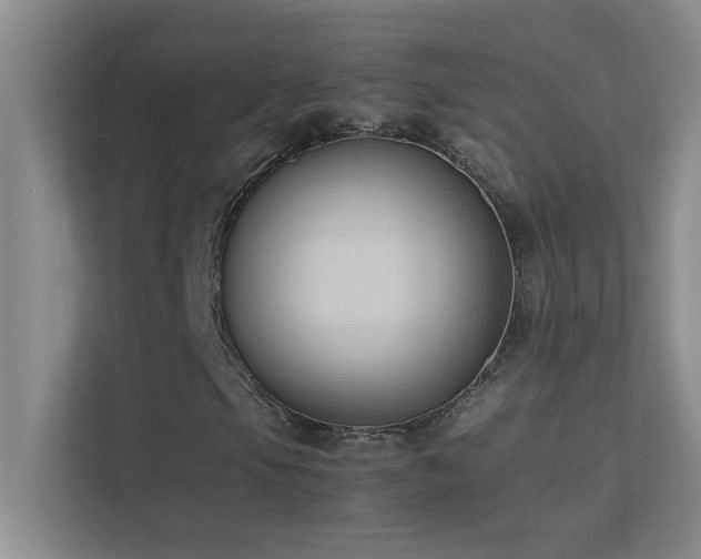 X0000113911105200909241504