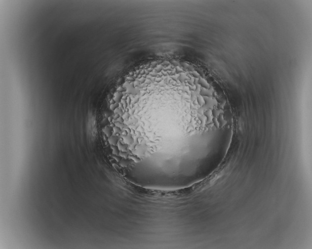X0000113911106200909241504