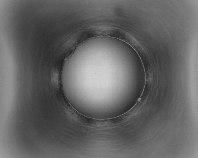 X0000113911108200909241504