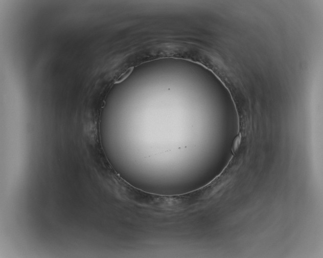 X0000113911109200909241504