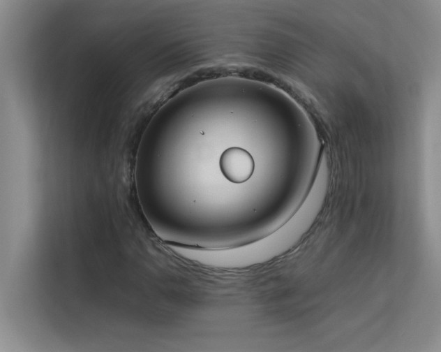 X0000113911110200909241504