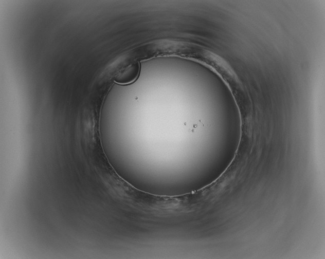 X0000113911111200909241504