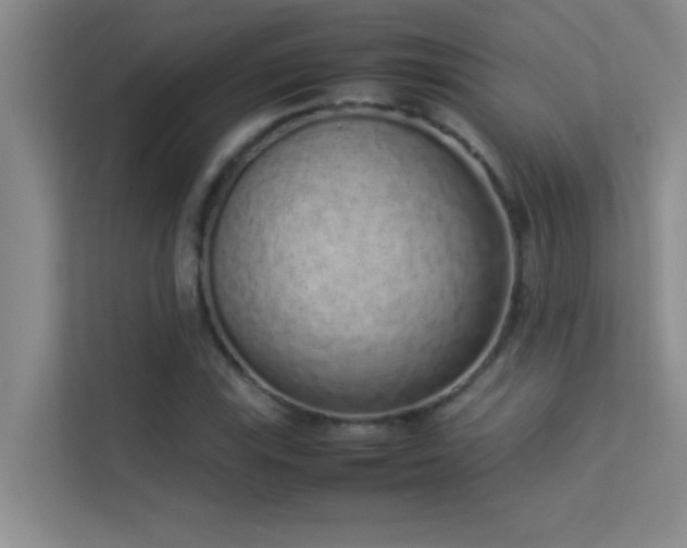 X0000113911115200909241504