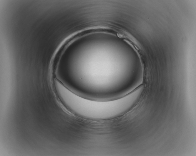 X0000113911116200909241504