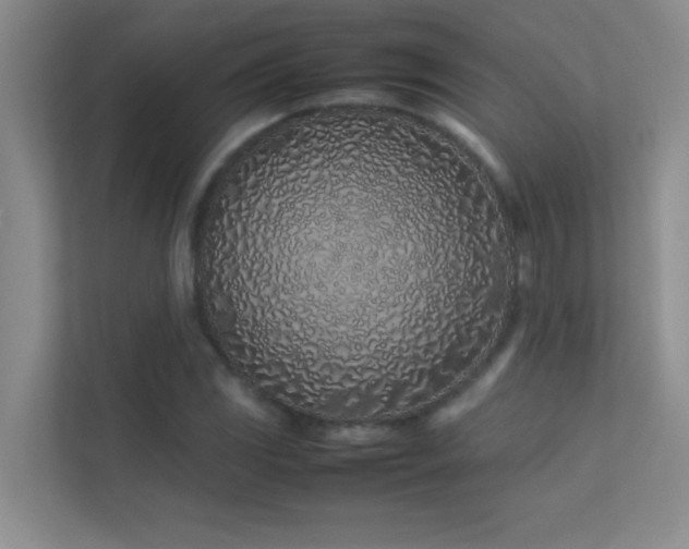 X0000113911117200909241504