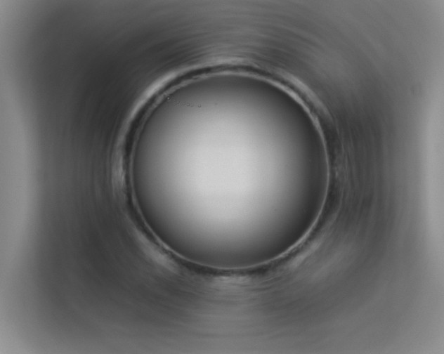 X0000113911118200909241504