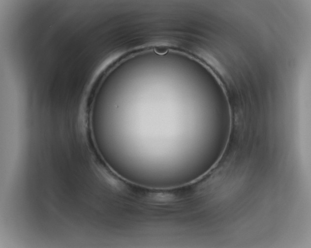 X0000113911119200909241504