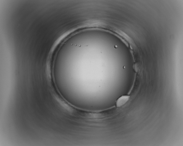 X0000113911120200909241504