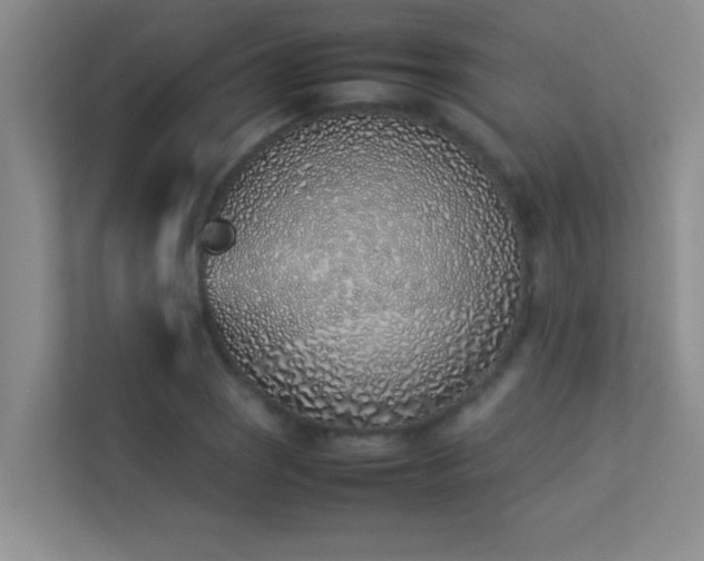 X0000113911121200909241504