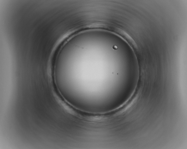 X0000113911122200909241504