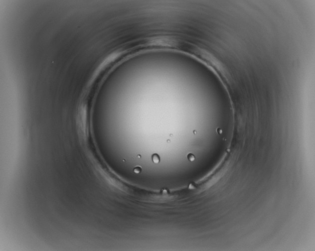 X0000113911123200909241504