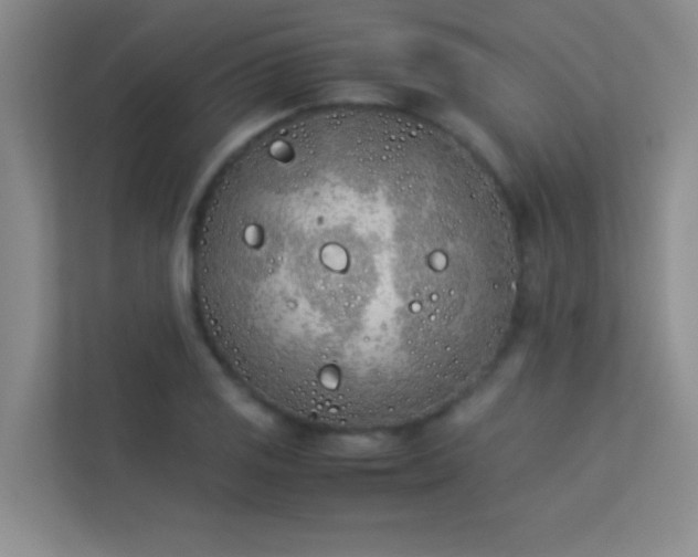 X0000113911125200909241504